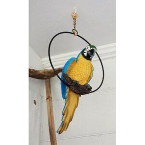 New Polly in Paradise Parrot Hanging Bird Ring Perch Indoor/Outdoor